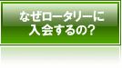 Ȃ[^[ɓ́H